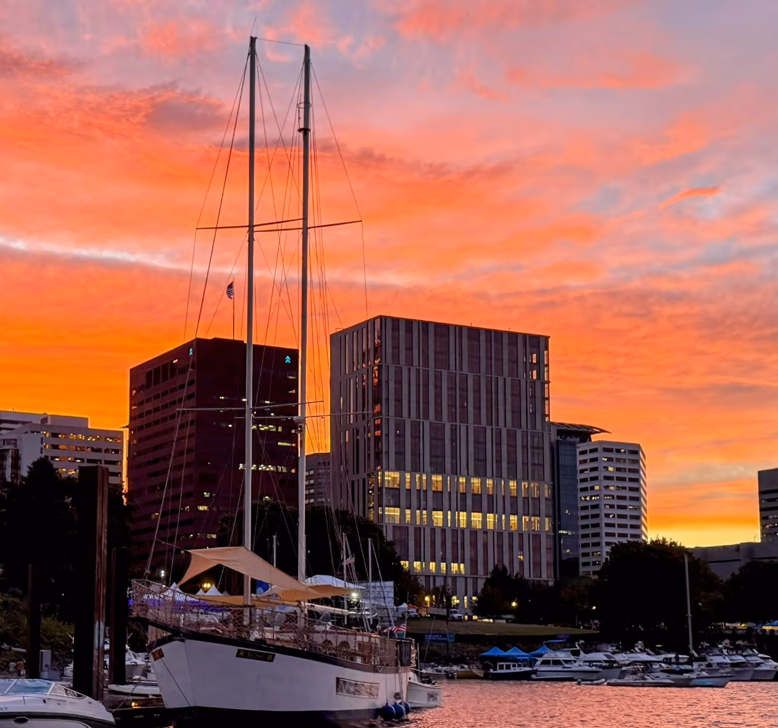 rose 85 foot sailboat on a beautiful day