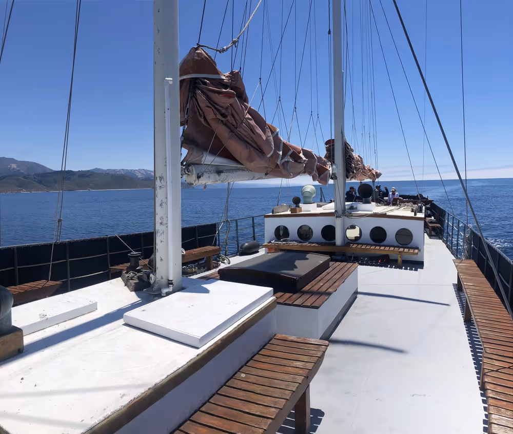 rose 85 foot sailboat on a beautiful day